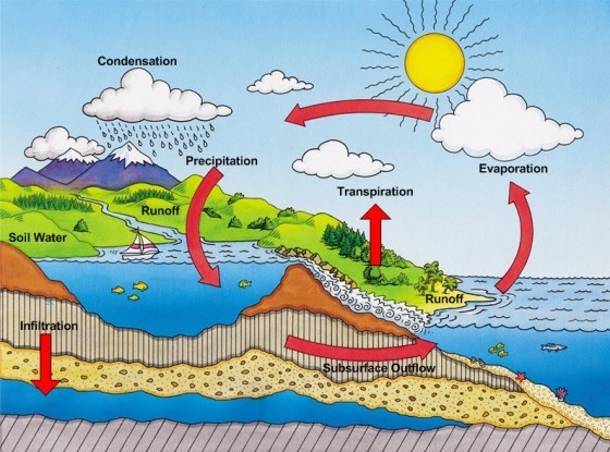 圖3，水循環示意圖。